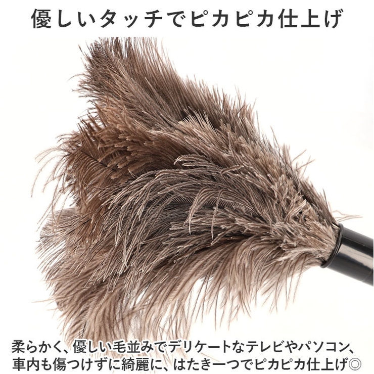 はたき