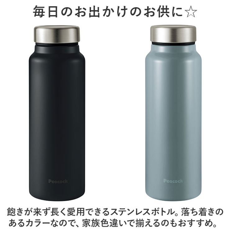 ステンレスボトル スクリューマグタイプ AKY-60[品番：BCYW0027340