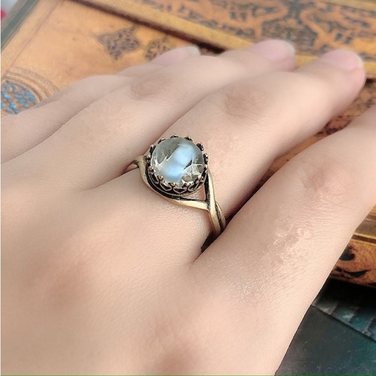 ロシアンブルー | BACKYARD FAMILY | 詳細画像2 