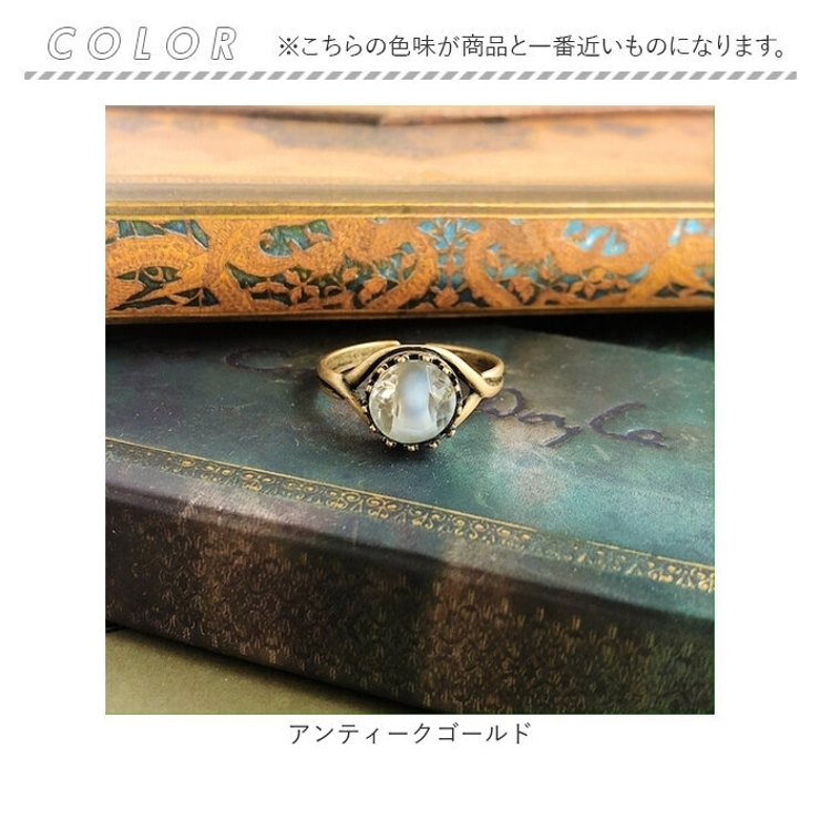 ロシアンブルー | BACKYARD FAMILY | 詳細画像5 