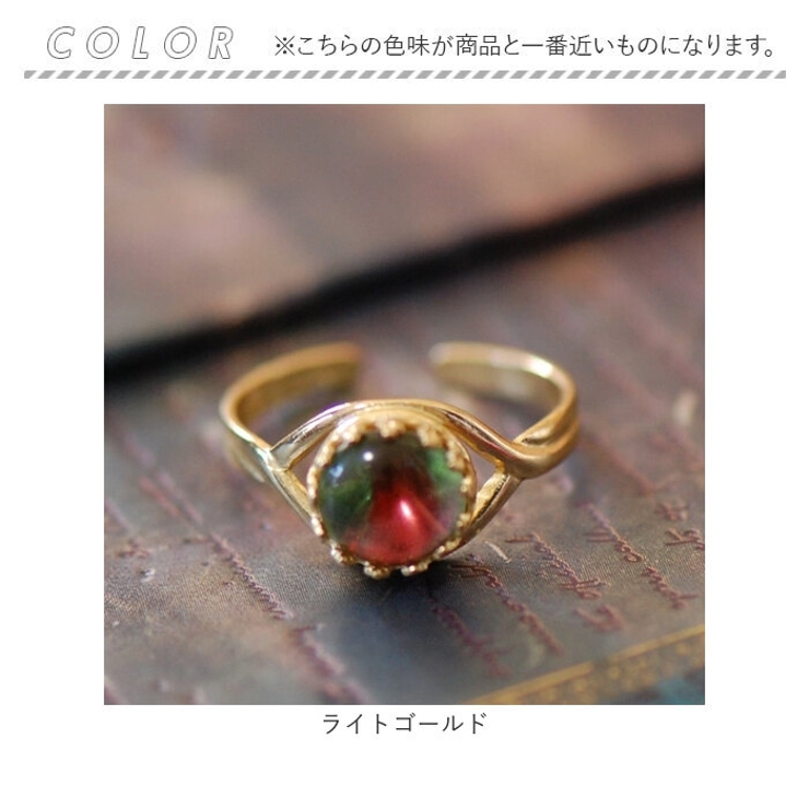 イグアナ | BACKYARD FAMILY | 詳細画像4 