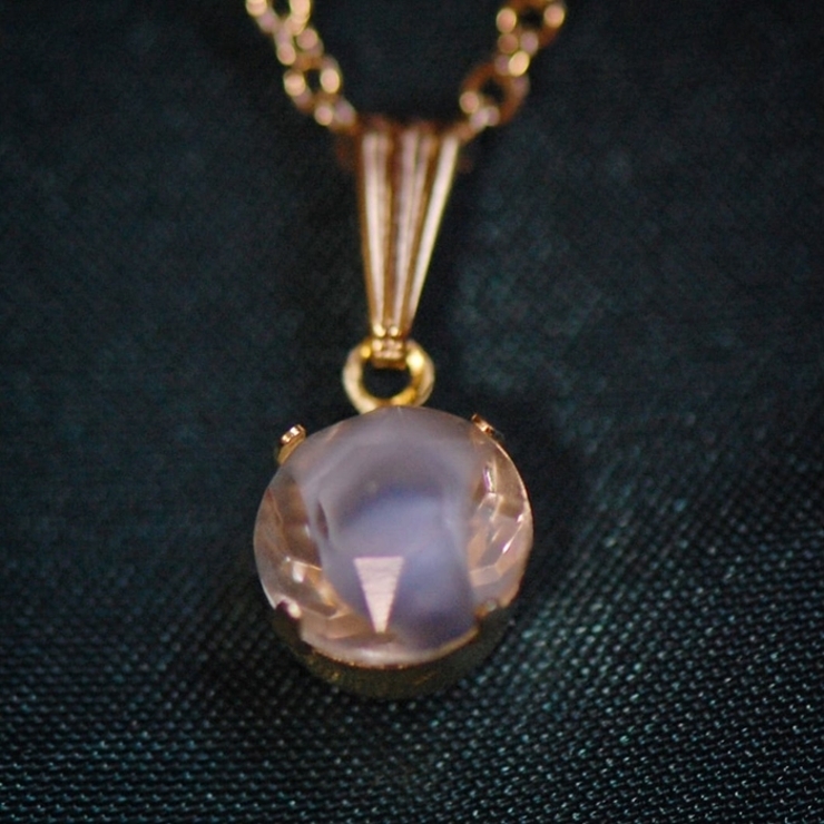 ハスキー | BACKYARD FAMILY | 詳細画像4 