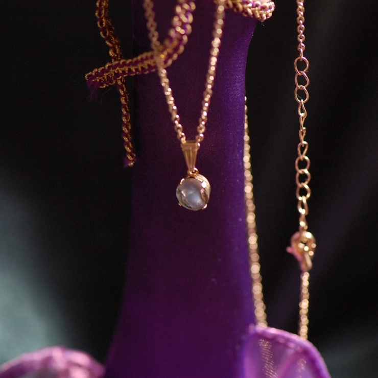 ハスキー | BACKYARD FAMILY | 詳細画像5 