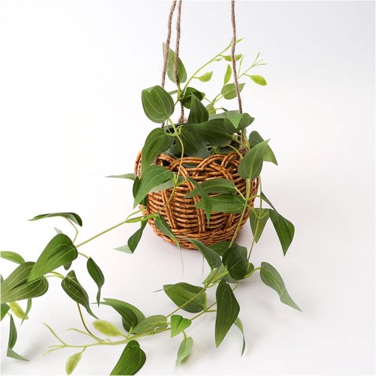 光触媒 ハンギングバスケット | BACKYARD FAMILY | 詳細画像14 