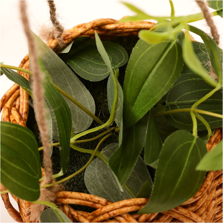 光触媒 ハンギングバスケット | BACKYARD FAMILY | 詳細画像15 