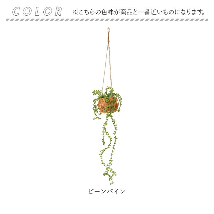 光触媒 ハンギングバスケット | BACKYARD FAMILY | 詳細画像16 