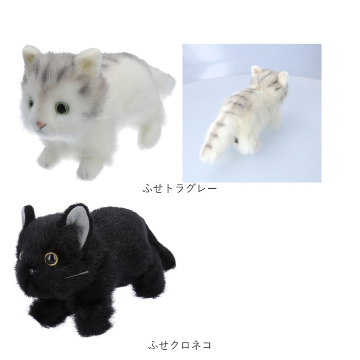 日本製 リアルキャット Sサイズ[品番：BCYW0029750]｜BACKYARD