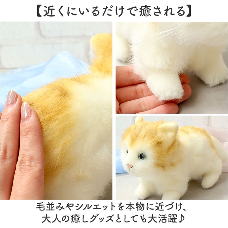 楽天市場】リアル 猫のぬいぐるみ 抱き枕 ネコ ねこ 可愛い 癒し