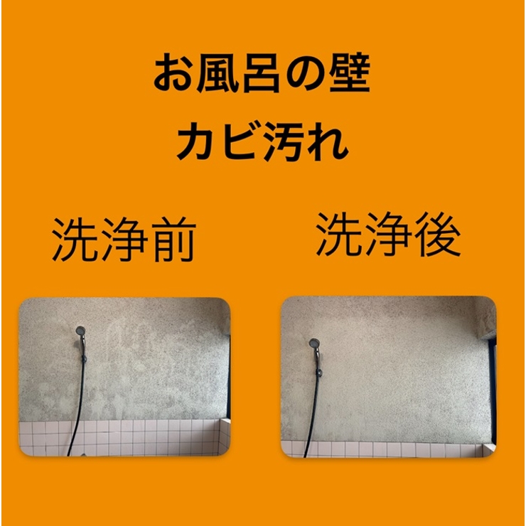 カビ取りキング | BACKYARD FAMILY | 詳細画像7 