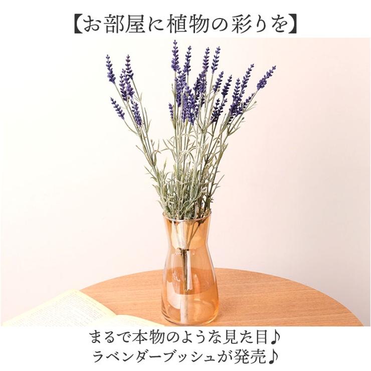 ラベンダーブッシュ | BACKYARD FAMILY | 詳細画像2 
