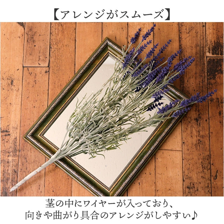 ラベンダーブッシュ | BACKYARD FAMILY | 詳細画像5 