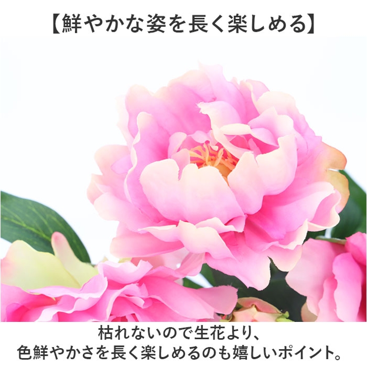 ピオニーブッシュ | BACKYARD FAMILY | 詳細画像4 