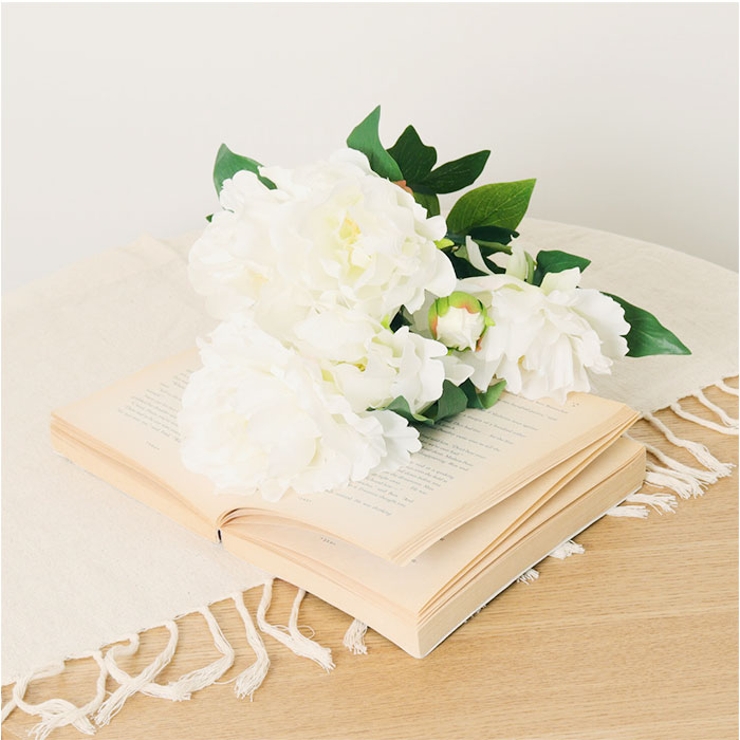 ピオニーブッシュ | BACKYARD FAMILY | 詳細画像7 