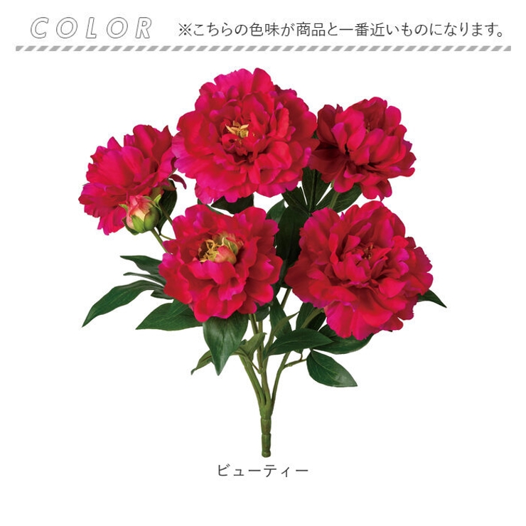 ピオニーブッシュ | BACKYARD FAMILY | 詳細画像9 