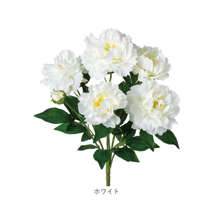 ピオニーブッシュ | BACKYARD FAMILY | 詳細画像10 