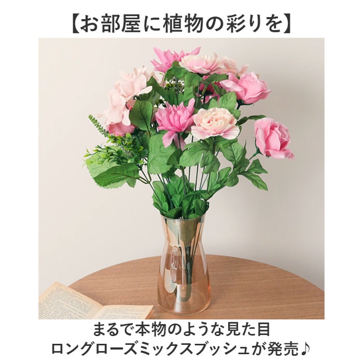 ロングローズミックスブッシュ | BACKYARD FAMILY | 詳細画像2