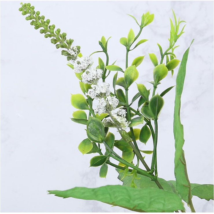 ロングローズミックスブッシュ | BACKYARD FAMILY | 詳細画像14