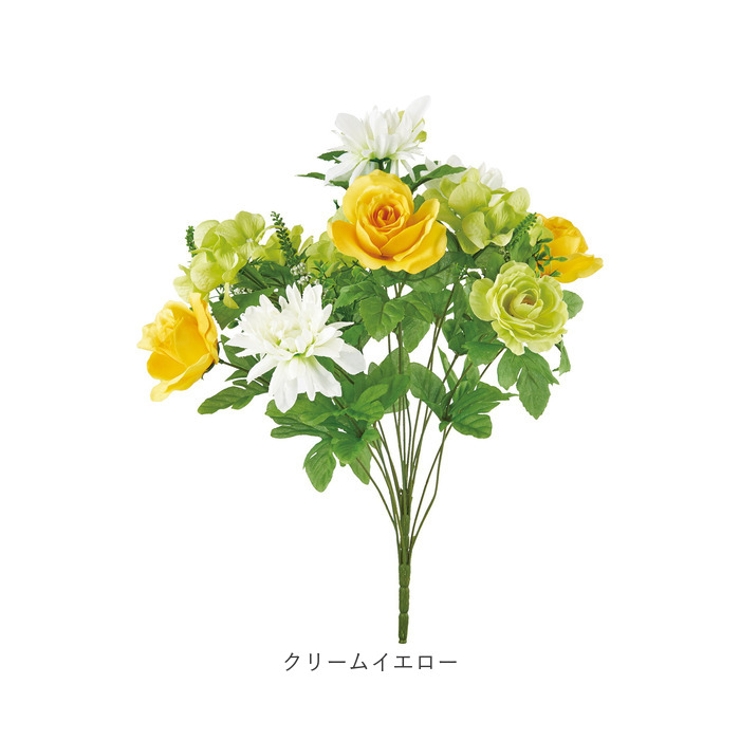 ロングローズミックスブッシュ | BACKYARD FAMILY | 詳細画像17