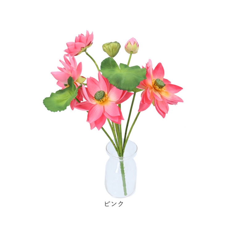 ロータスブッシュ | BACKYARD FAMILY | 詳細画像17 