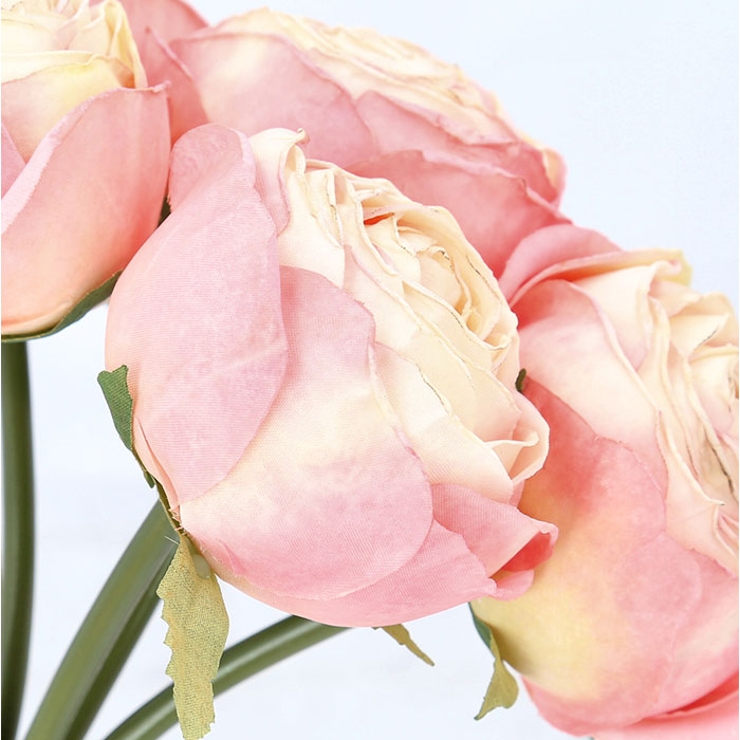 パフュームローズバンドル | BACKYARD FAMILY | 詳細画像10