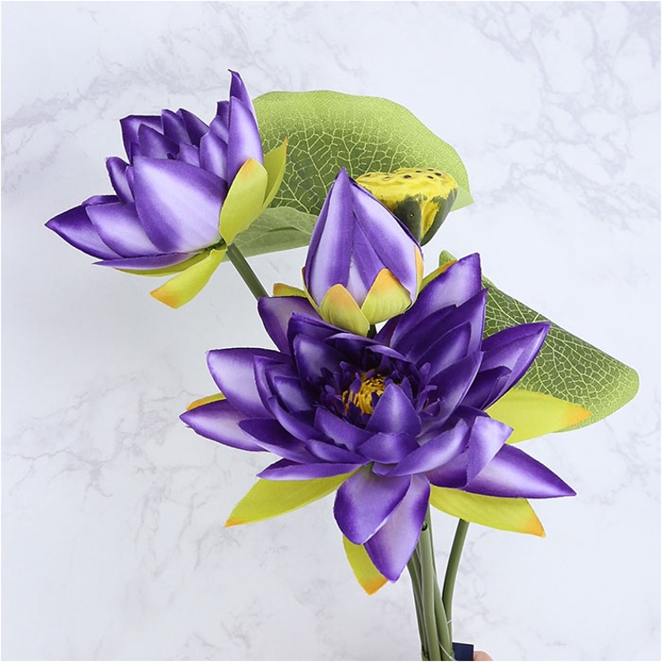 ロータスブッシュ | BACKYARD FAMILY | 詳細画像12