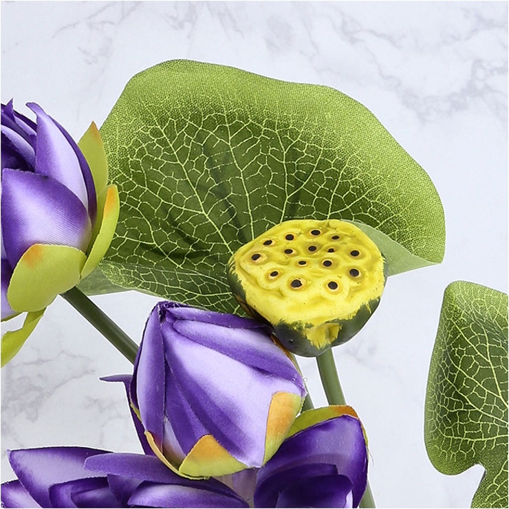 ロータスブッシュ | BACKYARD FAMILY | 詳細画像13