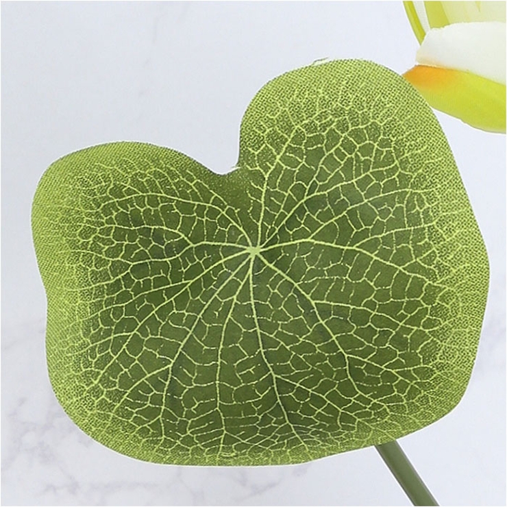 ロータスブッシュ | BACKYARD FAMILY | 詳細画像16