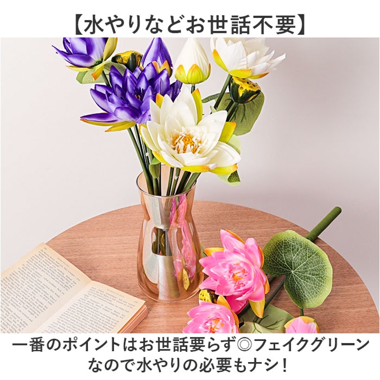 ロータスブッシュ | BACKYARD FAMILY | 詳細画像3