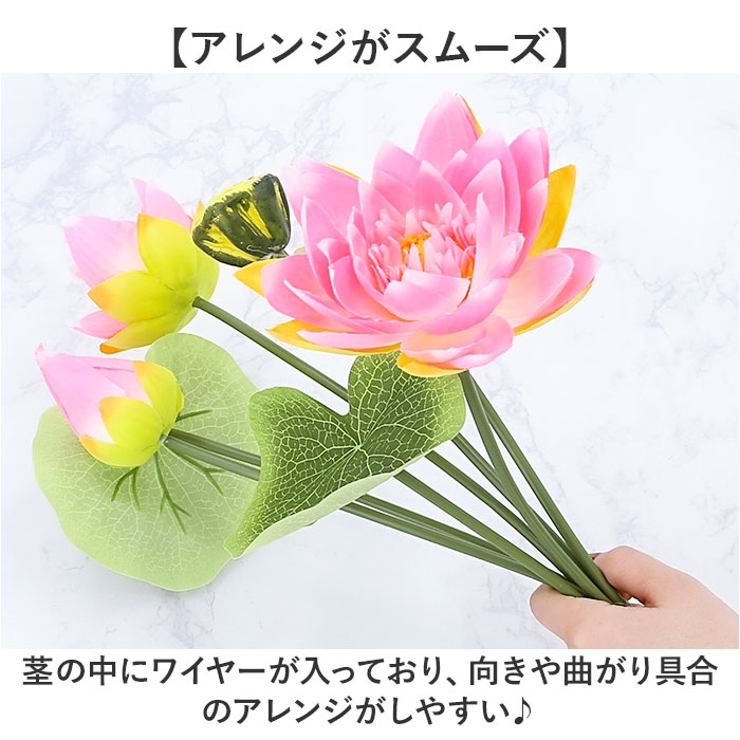 ロータスブッシュ | BACKYARD FAMILY | 詳細画像5