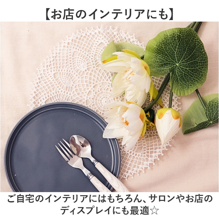 ロータスブッシュ | BACKYARD FAMILY | 詳細画像7