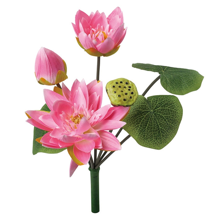 ロータスブッシュ | BACKYARD FAMILY | 詳細画像9