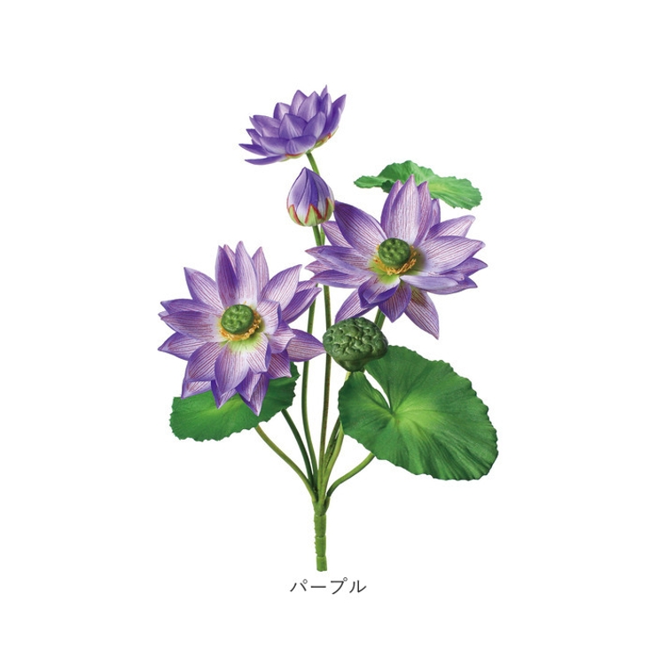 ロータスブッシュ | BACKYARD FAMILY | 詳細画像14 