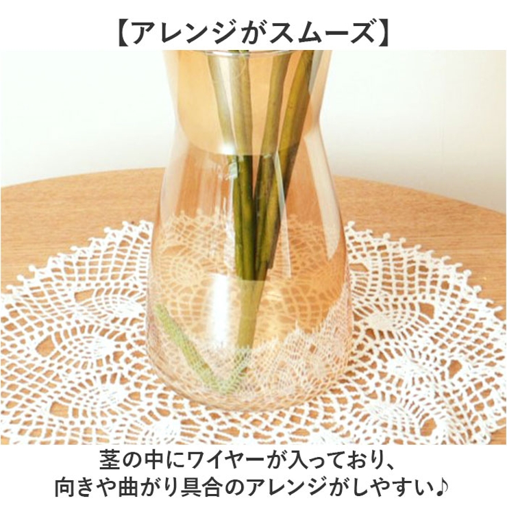 ロータスブッシュ | BACKYARD FAMILY | 詳細画像5 