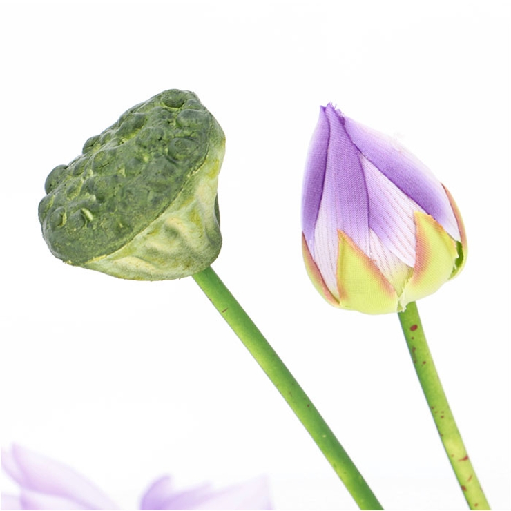 ロータスブッシュ | BACKYARD FAMILY | 詳細画像9 