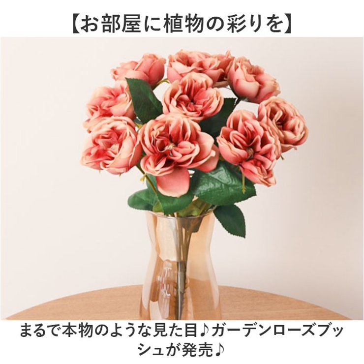 ガーデンローズブッシュ | BACKYARD FAMILY | 詳細画像2