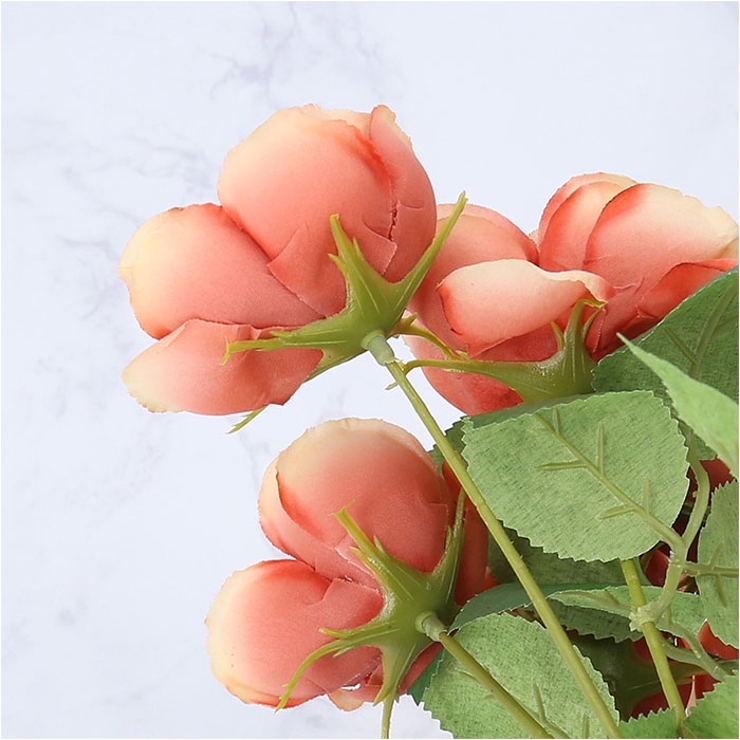 ガーデンローズブッシュ | BACKYARD FAMILY | 詳細画像11