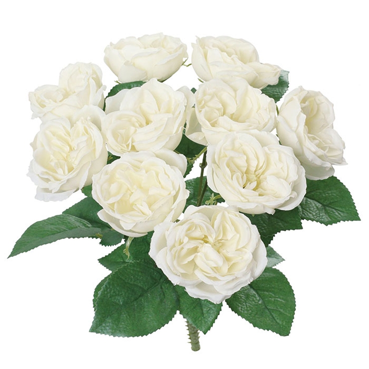 ガーデンローズブッシュ | BACKYARD FAMILY | 詳細画像12