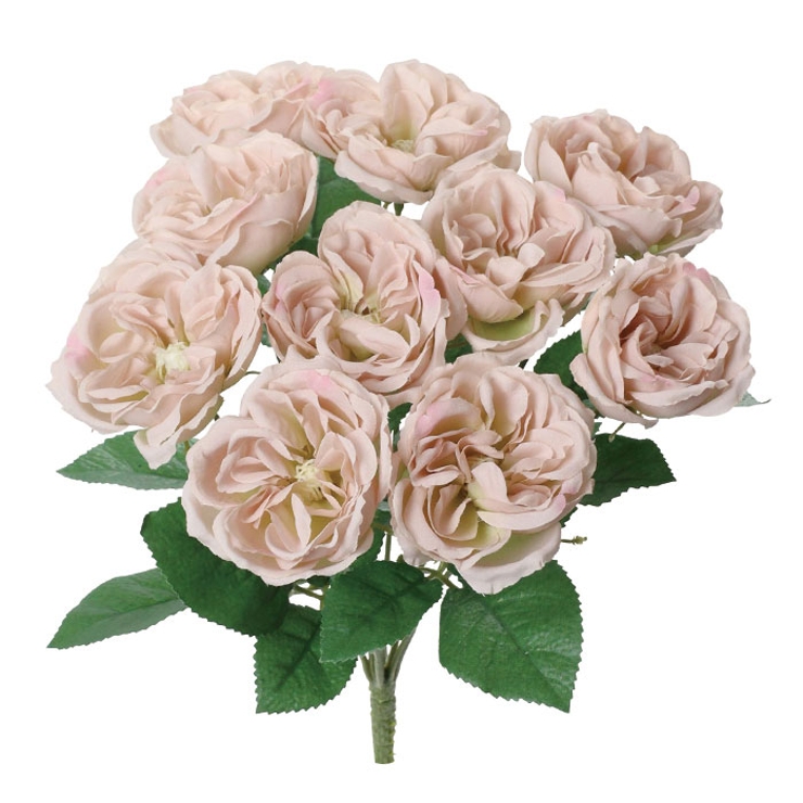 ガーデンローズブッシュ | BACKYARD FAMILY | 詳細画像14