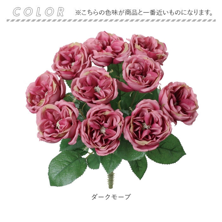 ガーデンローズブッシュ | BACKYARD FAMILY | 詳細画像16