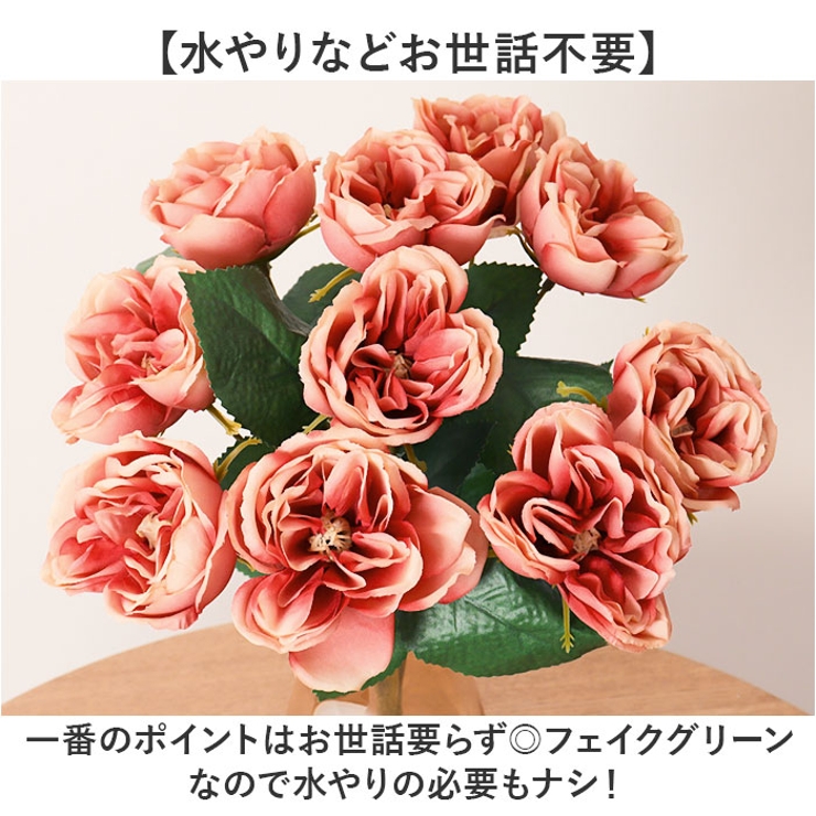 ガーデンローズブッシュ | BACKYARD FAMILY | 詳細画像3