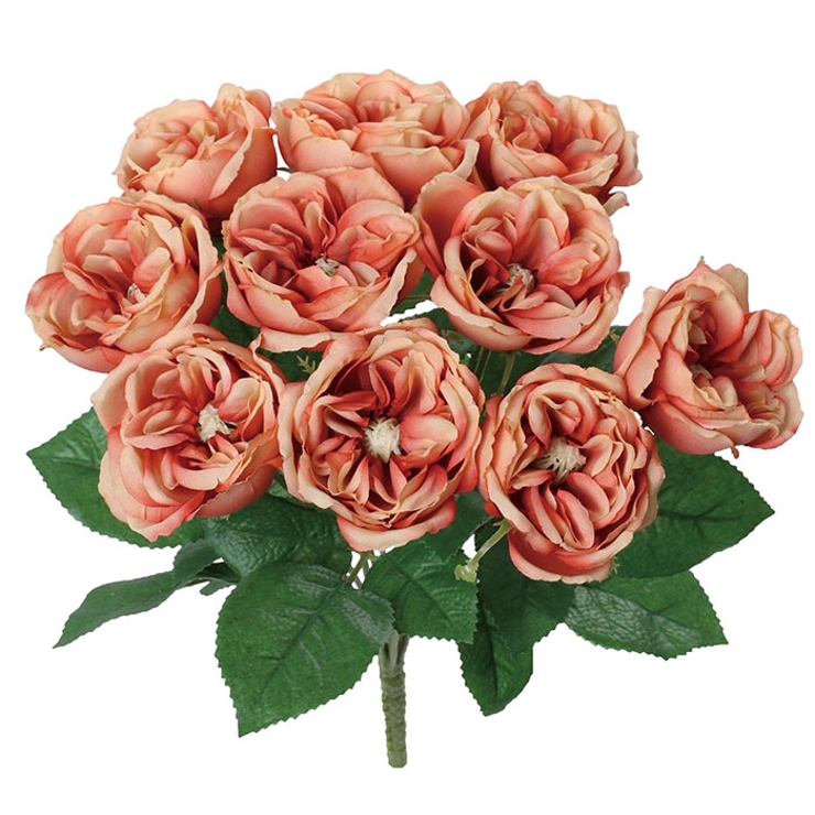 ガーデンローズブッシュ | BACKYARD FAMILY | 詳細画像9