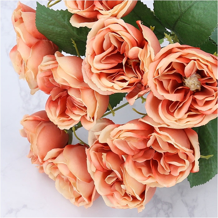 ガーデンローズブッシュ | BACKYARD FAMILY | 詳細画像10