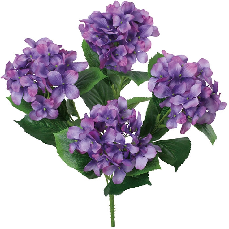 アジサイブッシュ | BACKYARD FAMILY | 詳細画像11