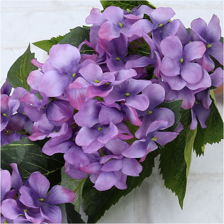 アジサイブッシュ | BACKYARD FAMILY | 詳細画像12