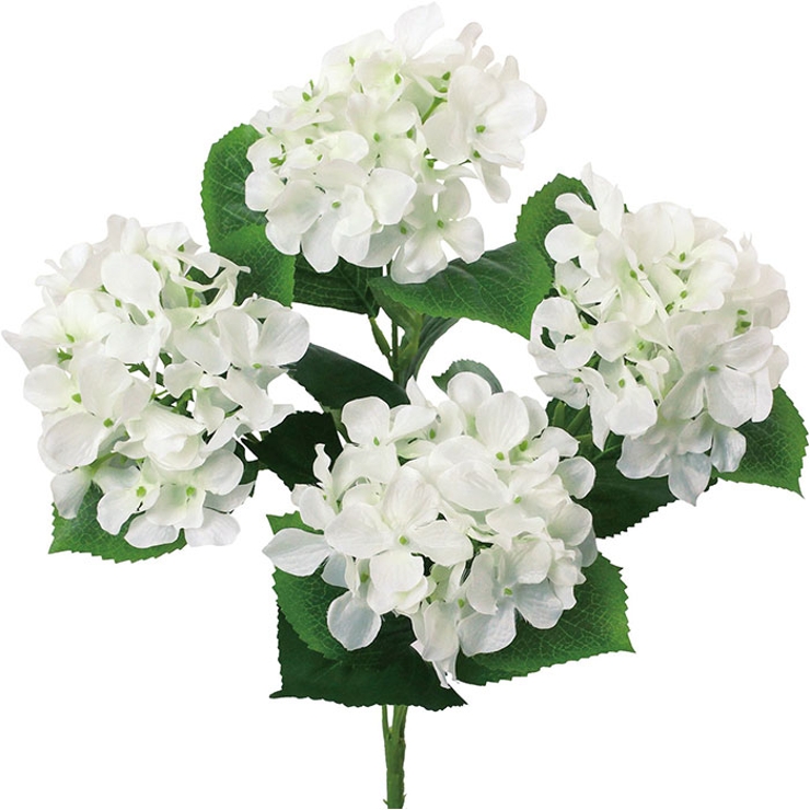 アジサイブッシュ | BACKYARD FAMILY | 詳細画像13