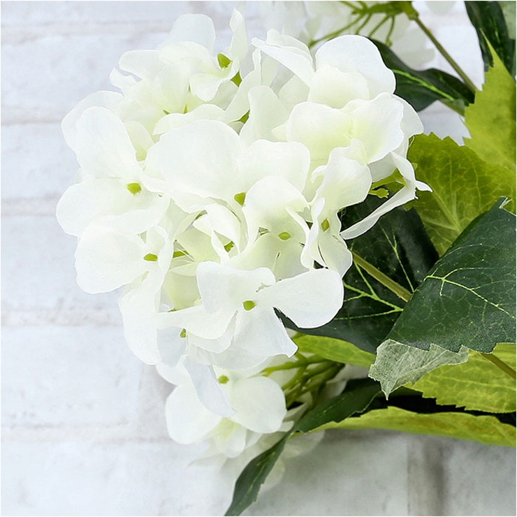 アジサイブッシュ | BACKYARD FAMILY | 詳細画像14