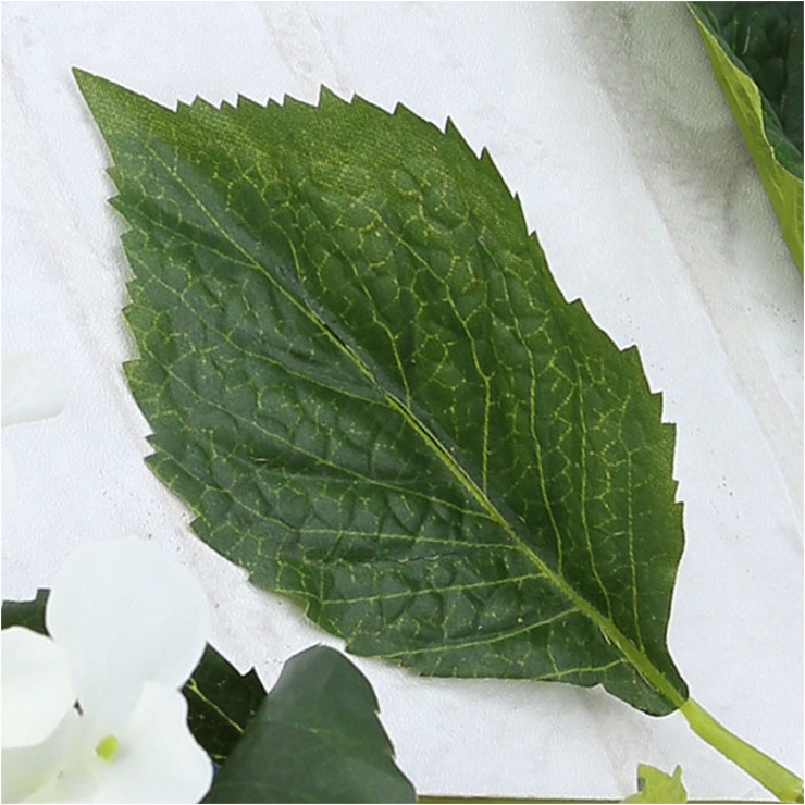 アジサイブッシュ | BACKYARD FAMILY | 詳細画像16