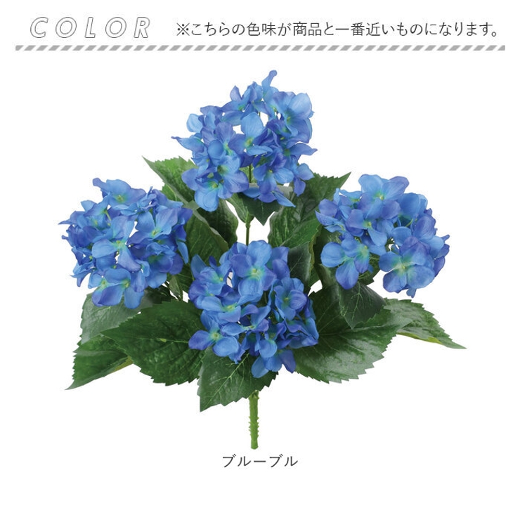 アジサイブッシュ | BACKYARD FAMILY | 詳細画像17