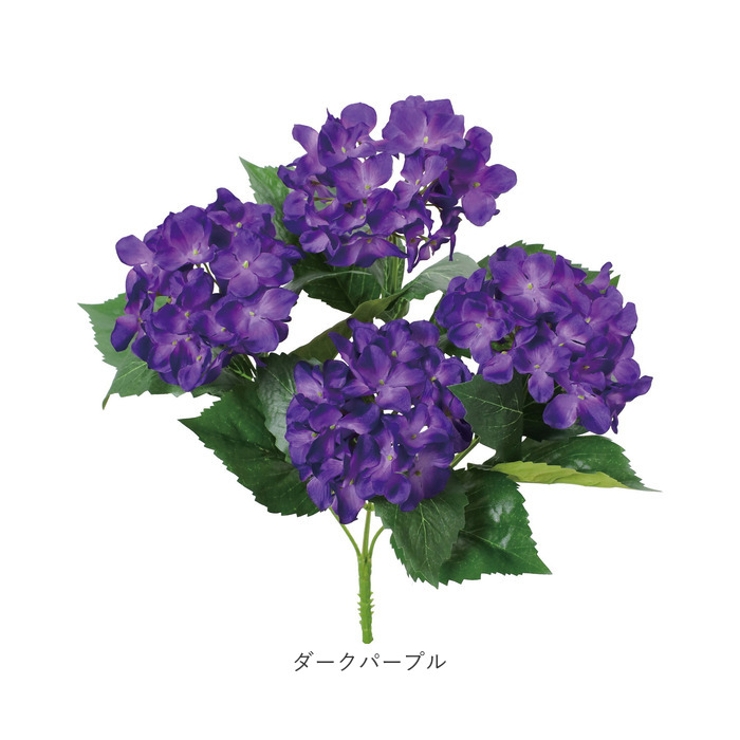 アジサイブッシュ | BACKYARD FAMILY | 詳細画像18