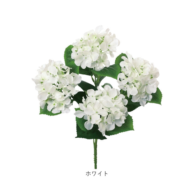 アジサイブッシュ | BACKYARD FAMILY | 詳細画像20